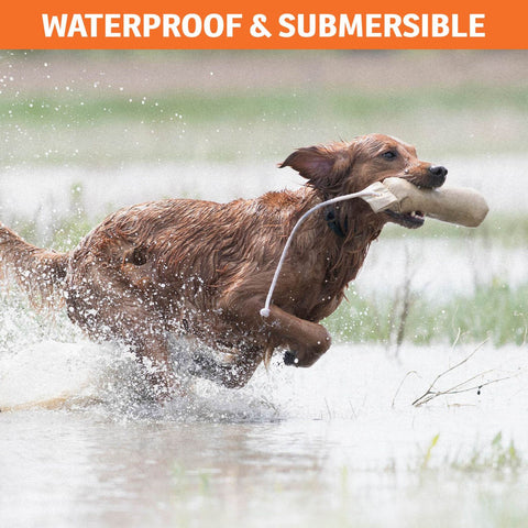 SportDOG SBC-R No Bark Remote Training Collar - Waterproof and Submersible