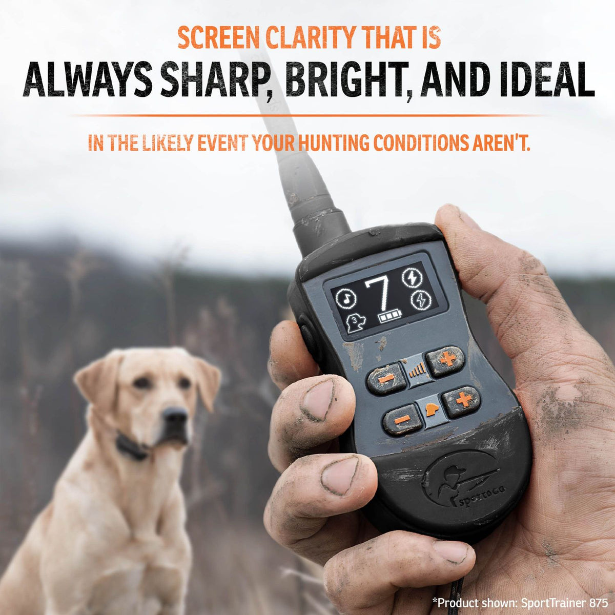 SportDOG SD-1275 SportTrainer Black Remote Training Collar Transmitter Screen