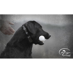 SportDOG SD-2525 Dog Wearing ProHunter Remote Training Collar