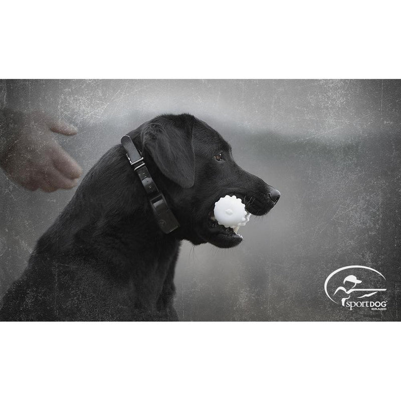 SportDOG - SD-2525 - ProHunter 2525 - 2 Miles - Remote Training Collar-zoom-