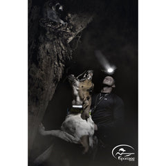 SportDOG SD-3225 Dog Wearing HoundHunter Remote Training Collar