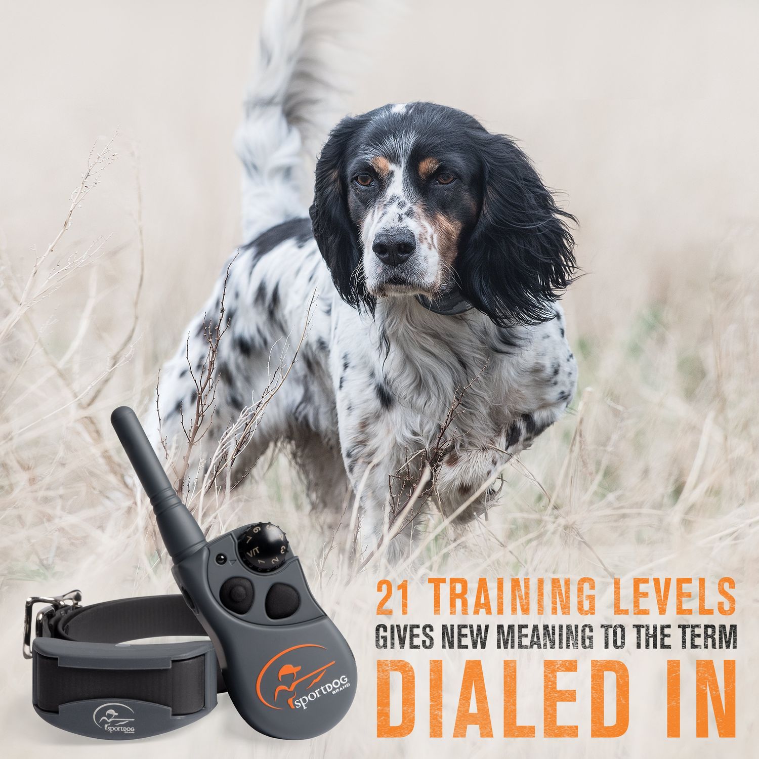 SportDOG SD-825X SportHunter Remote Training Collar Training Levels