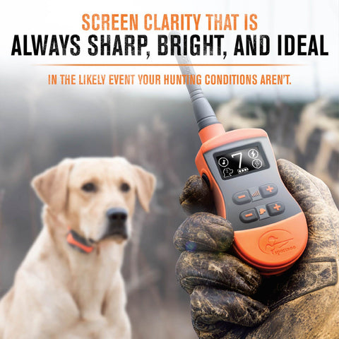 SportDOG SD-875E SportTrainer Remote Training Collar Transmitter Screen
