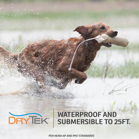 SportDOG SDF-100C Rechargeable In-Ground Fence System Receiver with DryTek Technology