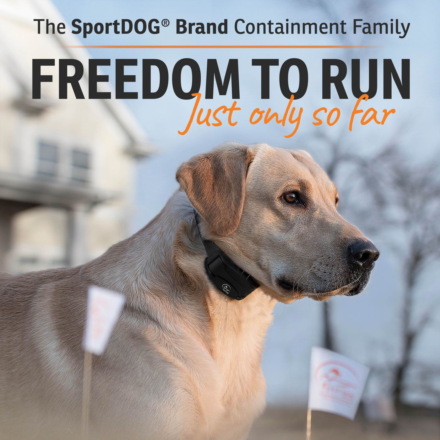 SportDOG SDF-100C Rechargeable In-Ground Fence System