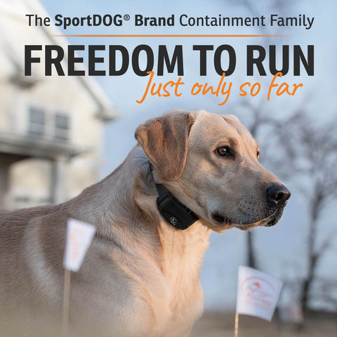 SportDOG SDF-100C Rechargeable In-Ground Fence System