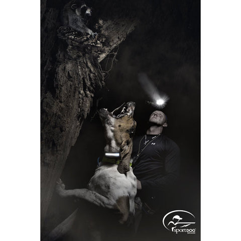 SportDOG SDR-AH Dog Wearing HoundHunter 3225 Additional Collar