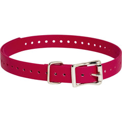 SportDOG-SportDOG - 3/4" x 28" - E-Collar Replacement Strap