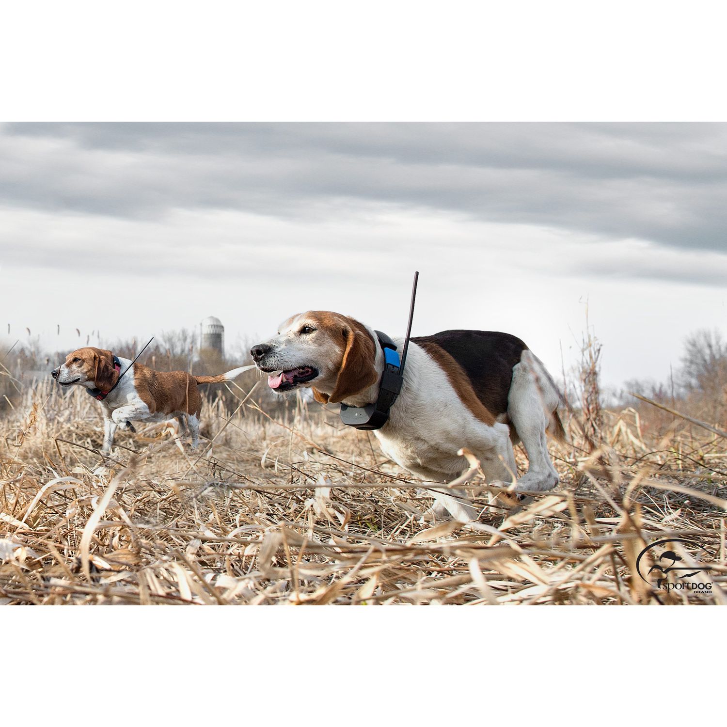 SportDOG-SportDOG - TEK-2L - TEK SERIES GPS TRACKING ADD-A-DOG COLLAR - 10 Miles - Additional Collar
