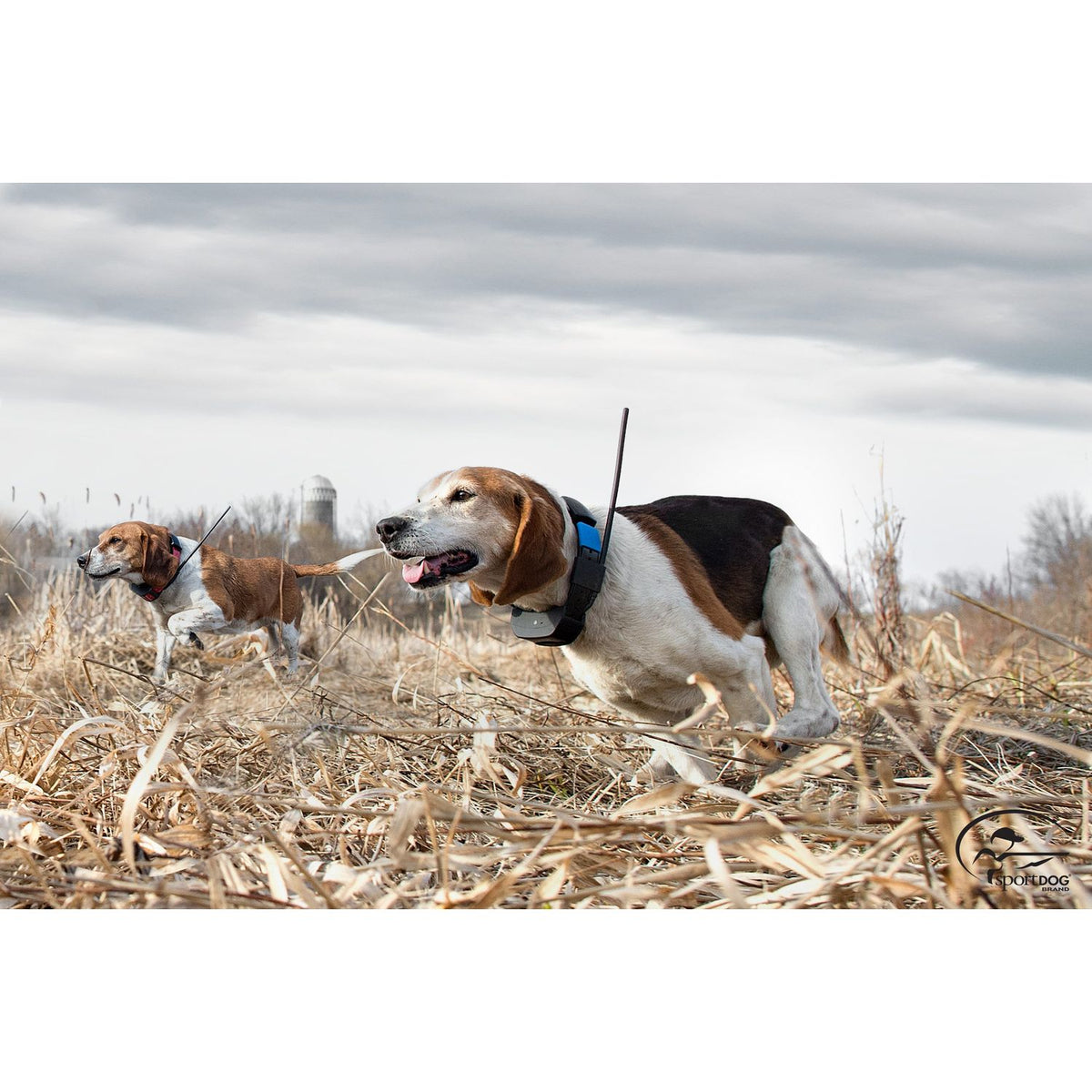 SportDOG-SportDOG - TEK-2L - TEK SERIES GPS TRACKING ADD-A-DOG COLLAR - 10 Miles - Additional Collar